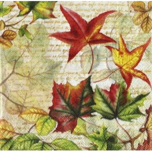 SERWETKI DO DECOUPAGE (33x33) 074