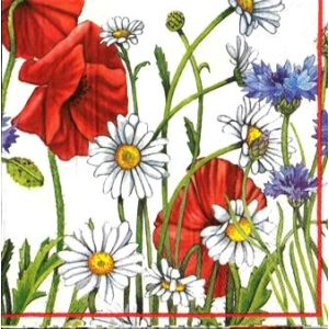 SERWETKI DO DECOUPAGE (33x33) 10024