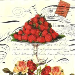 SERWETKI DO DECOUPAGE (33x33) 10025