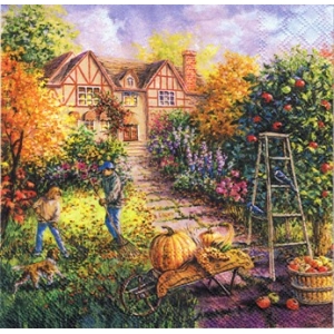 SERWETKI DO DECOUPAGE (33x33) 10559