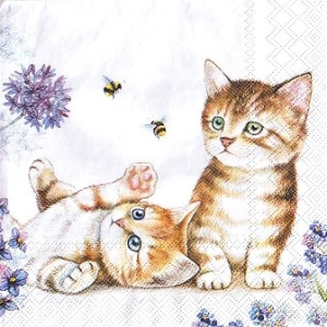 SERWETKI DO DECOUPAGE (25x25) 10787