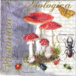 SERWETKI DO DECOUPAGE (33x33) 10852