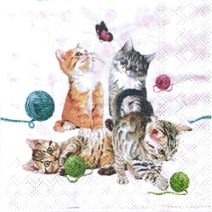 SERWETKI DO DECOUPAGE (25x25) 10861