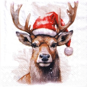 SERWETKI DO DECOUPAGE (33x33) 10943