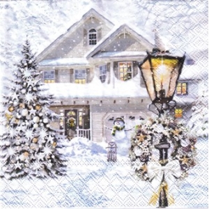 SERWETKI DO DECOUPAGE (33x33) 10949