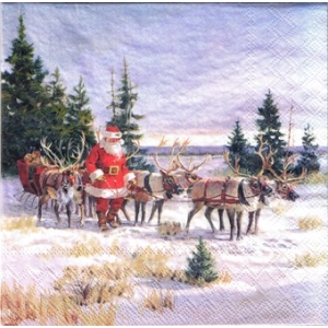 SERWETKI DO DECOUPAGE (33x33) 10951