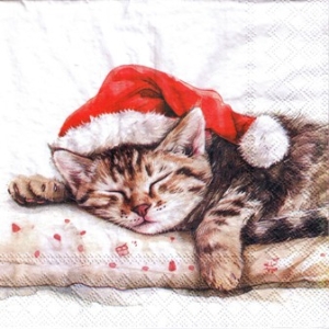 SERWETKI DO DECOUPAGE (33x33) 10955