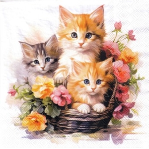 SERWETKI DO DECOUPAGE (33x33) 10958