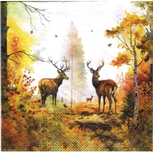 SERWETKI DO DECOUPAGE (25x25) 10959