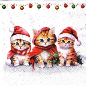 SERWETKI DO DECOUPAGE (25x25) 10962