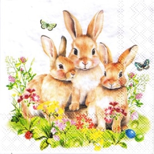 SERWETKI DO DECOUPAGE (25x25) 10964