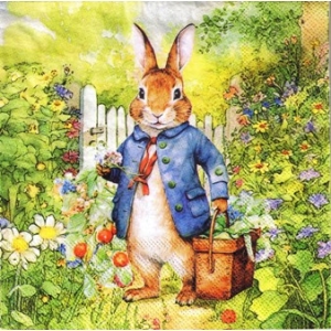 SERWETKI DO DECOUPAGE (33x33) 10969