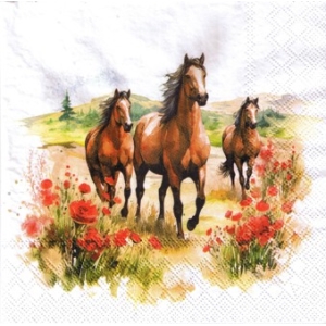 SERWETKI DO DECOUPAGE (33x33) 10970