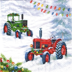 SERWETKI DO DECOUPAGE (25x25) 11681