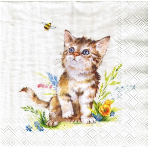 SERWETKI DO DECOUPAGE (25x25) 11684