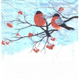 SERWETKI DO DECOUPAGE (33x33) 12033