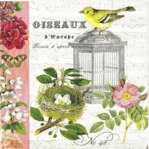 SERWETKI DO DECOUPAGE (25x25) 1733