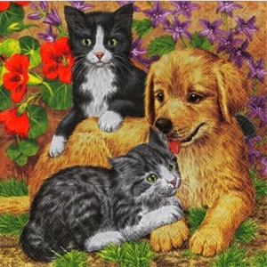 SERWETKI DO DECOUPAGE (33x33) 1964