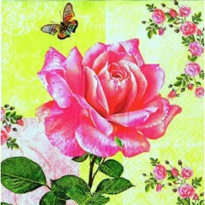 SERWETKI DO DECOUPAGE (33x33) 2397