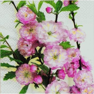 SERWETKI DO DECOUPAGE (33x33) 2817
