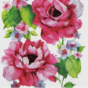 SERWETKI DO DECOUPAGE (25x25) 2893