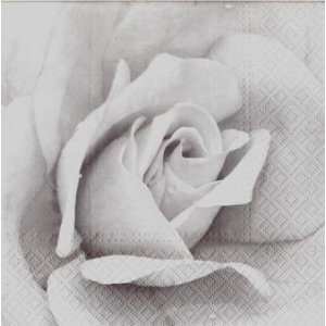 SERWETKI DO DECOUPAGE (33x33) 2919