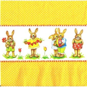 SERWETKI DO DECOUPAGE (33x33) 3178