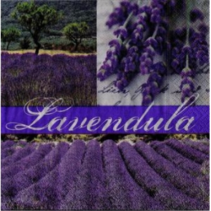 SERWETKI DO DECOUPAGE (33x33) 3556