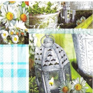 SERWETKI DO DECOUPAGE (33x33) 3590