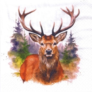 SERWETKI DO DECOUPAGE (33x33) 4385