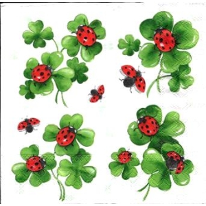 SERWETKI DO DECOUPAGE (33x33) 497
