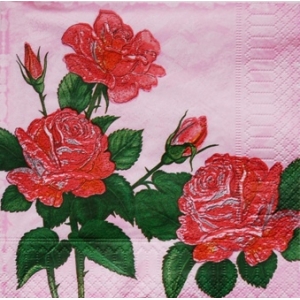 SERWETKI DO DECOUPAGE (33x33) 5547