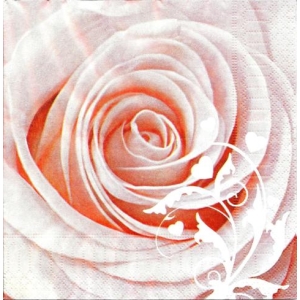 SERWETKI DO DECOUPAGE (33x33) 5691