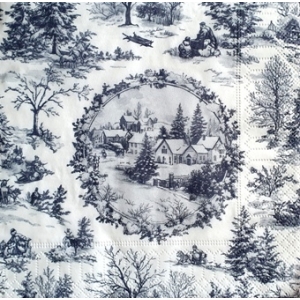 SERWETKI DO DECOUPAGE (33x33) 5876