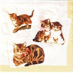 SERWETKI DO DECOUPAGE (33x33) 7559