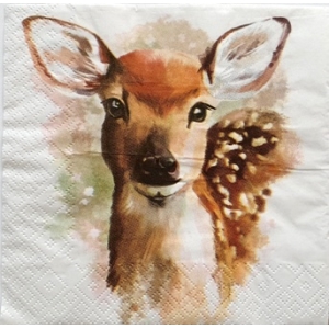 SERWETKI DO DECOUPAGE (33x33) 7570