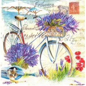 SERWETKI DO DECOUPAGE (25x25) 7789