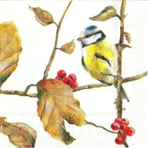 SERWETKI DO DECOUPAGE (25x25) 7797