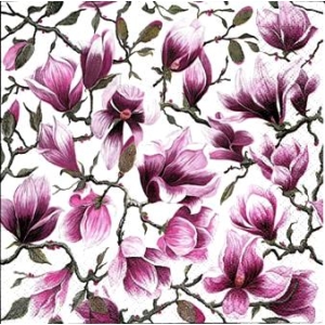 SERWETKI DO DECOUPAGE (33x33) 8677