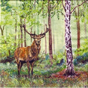 SERWETKI DO DECOUPAGE (33x33) 8744