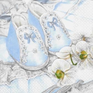 SERWETKI DO DECOUPAGE (33x33) 9351