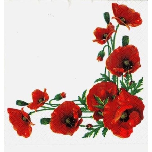 SERWETKI DO DECOUPAGE (33x33) 9595
