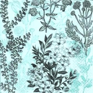 SERWETKI DO DECOUPAGE (33x33) 9843