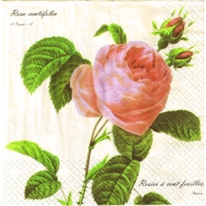 SERWETKI DO DECOUPAGE (33x33) U196