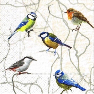 SERWETKI DO DECOUPAGE (33x33) U281