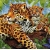 SERWETKI DO DECOUPAGE (33x33) 2017