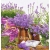 SERWETKI DO DECOUPAGE (33x33) 2022